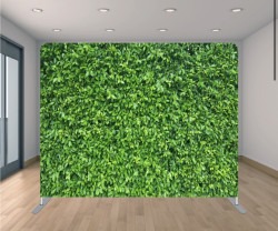 Hedge Backdrop